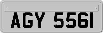 AGY5561