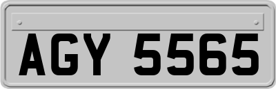AGY5565