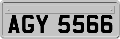 AGY5566