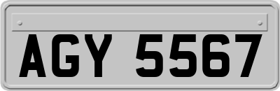 AGY5567