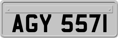 AGY5571