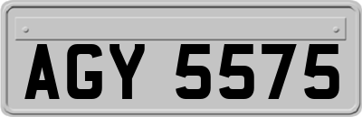AGY5575