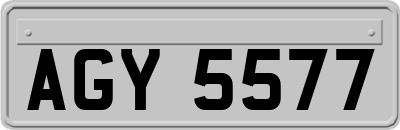 AGY5577