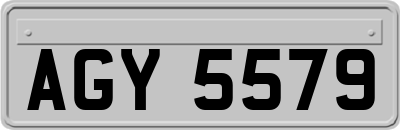 AGY5579