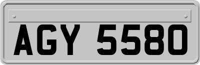 AGY5580