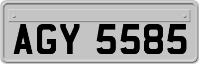 AGY5585