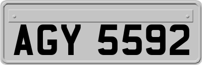 AGY5592