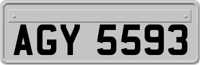 AGY5593