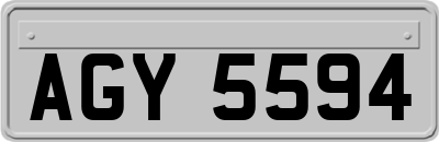 AGY5594