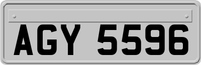 AGY5596