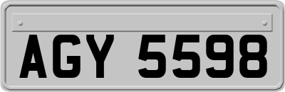 AGY5598