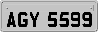 AGY5599