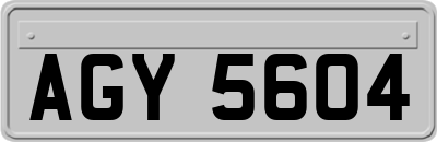 AGY5604