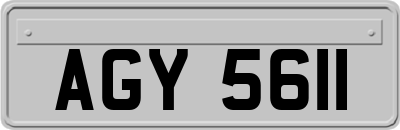 AGY5611