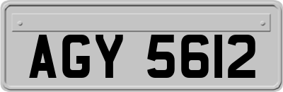 AGY5612