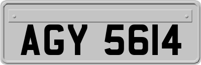 AGY5614