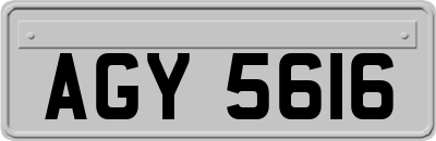 AGY5616