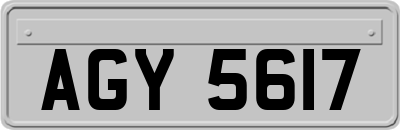 AGY5617