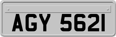 AGY5621