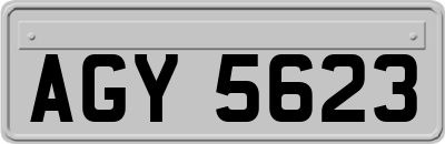 AGY5623