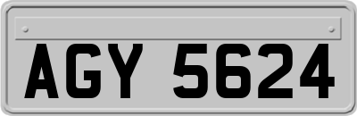 AGY5624