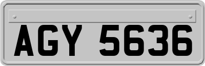 AGY5636