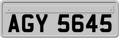 AGY5645
