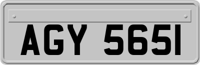 AGY5651