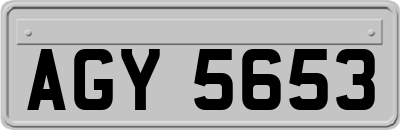 AGY5653