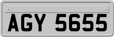 AGY5655