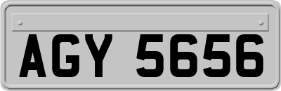 AGY5656