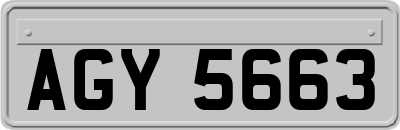 AGY5663