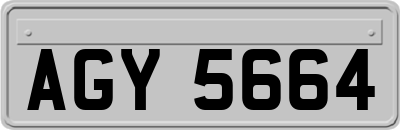 AGY5664