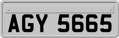 AGY5665