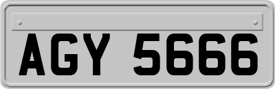 AGY5666
