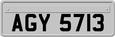 AGY5713