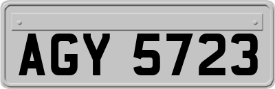 AGY5723