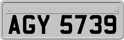 AGY5739