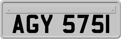 AGY5751