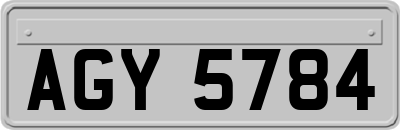 AGY5784
