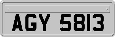 AGY5813