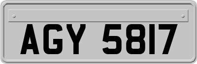 AGY5817