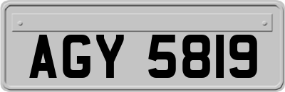 AGY5819