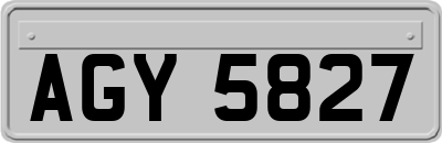 AGY5827