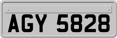 AGY5828
