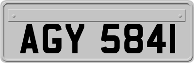 AGY5841