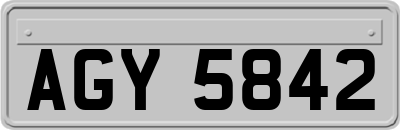 AGY5842