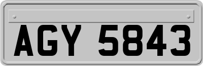 AGY5843