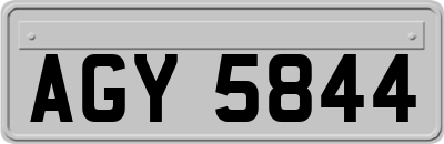 AGY5844