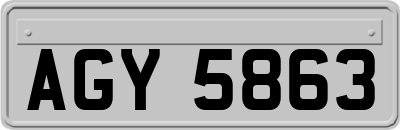 AGY5863